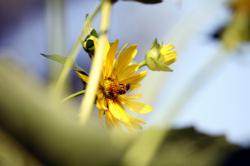 Birds and Bees of Banking